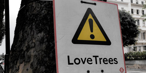 Love the trees!
